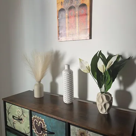 Cosy Cannes Apartamento